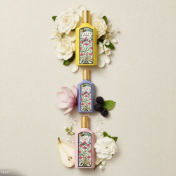 Gucci Flora EDP Perfume Collection - Gorgeous Gardenia, Jasmine, Magnolia Fragrance