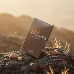 Terre d’Hermès EDT 200ml Men's Cologne Fragrance Spray Fresh Timeless Elegant