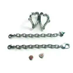 Silver Ton Chain Bracelet See-Through Mom Heart-Dog Lovers Charm Inside Gift 9
