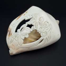 Vintage Hand Carved Conch Shell Fish Decor Natural Sea Shell Asian Collectible