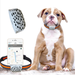 ANIMALS GPS TRACKING DEVICE