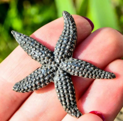 Vintage Collectible 800 Sterling Silver Mini Starfish Sculpture Germany