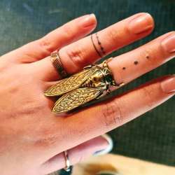 Gothic Brass Cicada Ring for Women and Men - Fashion Witch Jewelry Gift, Adjusta