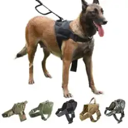 Large Dog Harness Pet Vest Dog Harness and Leash and Collar Set For All Dogs