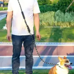 Dog Leash P Chain Hands Free Dog .Reflective Leashes for Walking Traction Rope