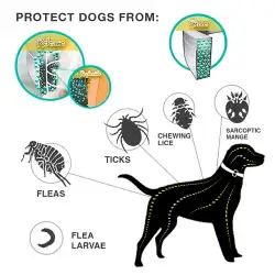 Flea and Tick Collar for Dogs 8-Month Tick and Flea Control for Dogs and Cats
