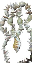Handmade Natural Beads and Shell Necklace with Antique and Beautiful Design