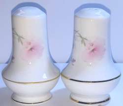 Beautiful Original Porcelain Salt And Pepper Shakers Decorate Your Kitchen