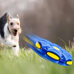 Flying Saucer for Pets and Kids, Interactive Entertainment and Training, Premium