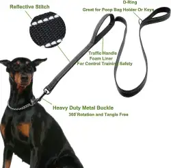 Dog Leash for Large Dogs Traffic Padded 2 Handles for Extra Control,
