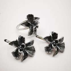 Artwork, New Women's Set, Earrings, Ring, 925 Sterling Silver,Jewelry