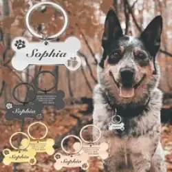 Customizable Dog Collar Address Tags Medal with Accessories Personalized