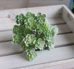 24 Heads Succulents Micro Landscape Simulation Exotic Cactus Bonsai Succulents P