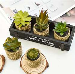 Stylish artificial plants for home and office