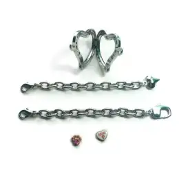Silver Ton Chain Bracelet See-Through Mom Heart-Dog Lovers Charm Inside Gift 9
