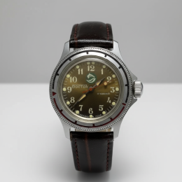 Vintage Mechanical Diver Watch 17 Jewels Dolphin Dial Military USSR Collectible