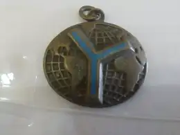 Vintage Unesco 1946-1966 Paris Bronze / Brass Medal Map World Oval Souvenir 25 g