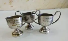 1972 Mini Vintage Set Of Silver Plated Cups Win Steven Fair Mount Butter Handle