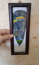 Vintage Bird Feather Pictures Framed Art wood With glass Rectangle 11 inch Hange