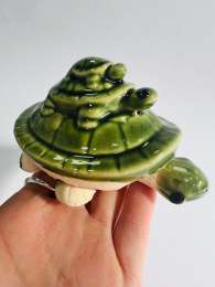 Hand Made Ceramic Pottery Figure Statue Turtle Made in Ukraine Souvenir Gift Box