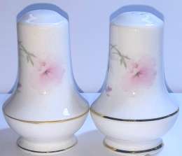 Beautiful Original Porcelain Salt And Pepper Shakers Decorate Your Kitchen