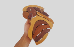 Vintage Small Plaque Parrot Figure Art Wood Handmade Wall Hanging Home Ornaments