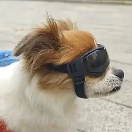Dog Summer Sunglasses Soft Windproof Anti-UV with Adjustable Strap for Outdoor