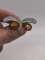 thumb-0
