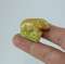 thumb-0