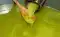 thumb-6