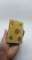 thumb-5
