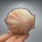 thumb-0