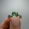 thumb-1