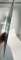 thumb-1