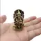 thumb-2