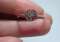 thumb-5