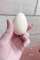 thumb-1