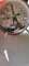 thumb-5