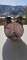 thumb-0