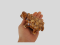 thumb-1
