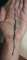 thumb-1