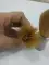 thumb-2
