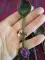 thumb-5