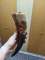 thumb-5