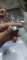 thumb-3