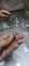 thumb-1