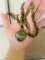 thumb-1