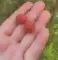 thumb-2
