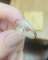 thumb-2