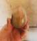 thumb-5